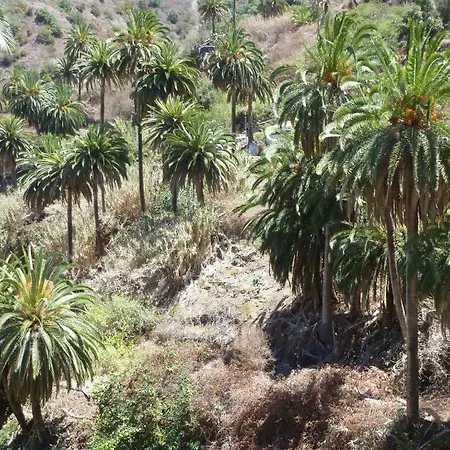 Bellavista Gomera דירה *